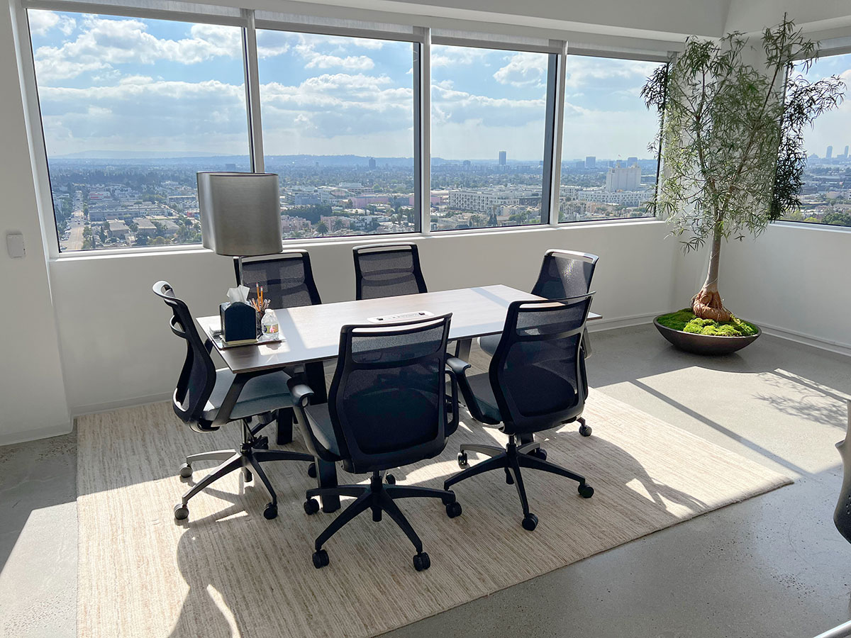 Meeting room and view at the Monarch Wealth Strategies wealth management office in Los Angeles, California.